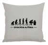 Vankúš Evolúcia - IT špecialistov