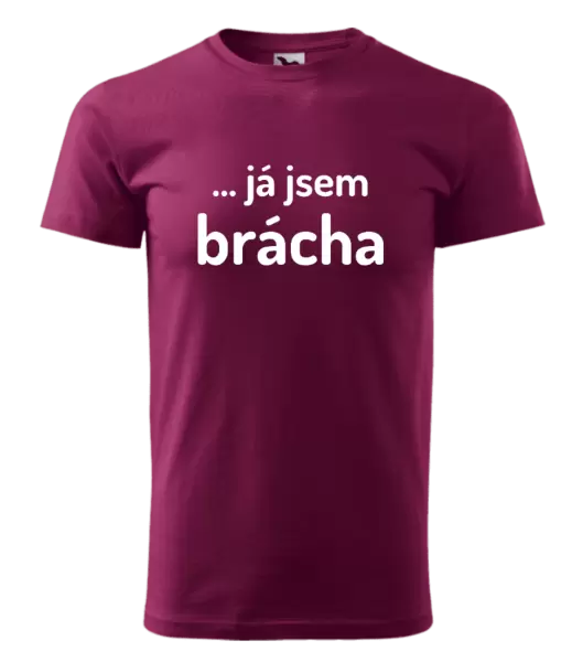 Pánské tričko ... já jsem brácha
