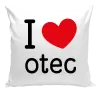 Vankúš I love otec