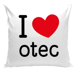 Vankúš I love otec