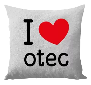 Vankúš I love otec