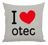 Vankúš I love otec