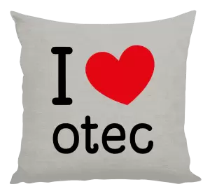 Vankúš I love otec