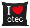 Vankúš I love otec