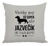 Vankúš Jazvečík je najlepší