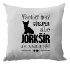 Vankúš Jorkšír je najlepší