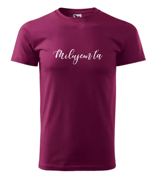 Pánske tričko Milujem ťa - nápis