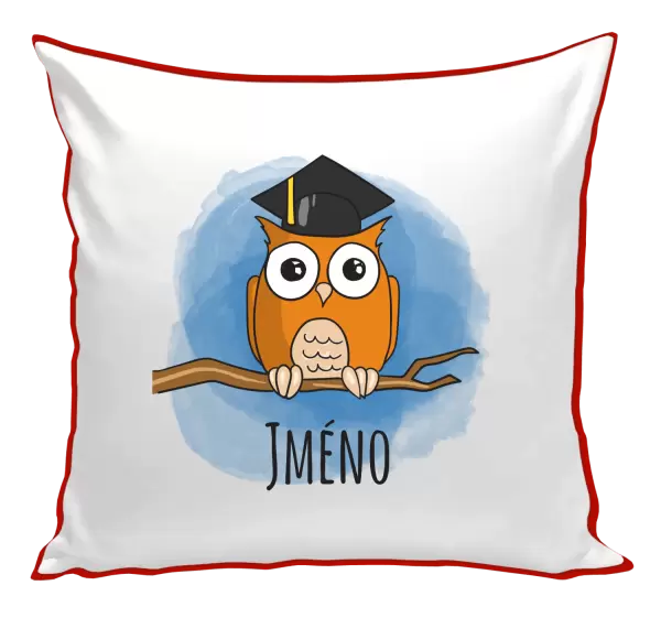 Polštář Sovička