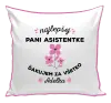 Vankúš Najlepšej pani asistentke
