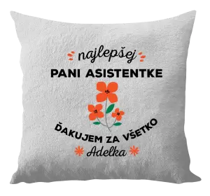 Vankúš Najlepšej pani asistentke
