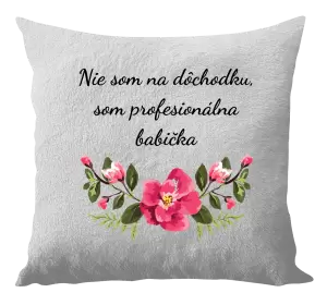 Vankúš Nie som na dôchodku, som profesionálna babička
