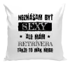 Vankúš Neznášam byť sexy, ale mám