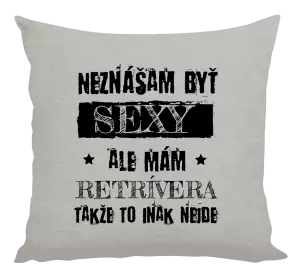 Vankúš Neznášam byť sexy, ale mám