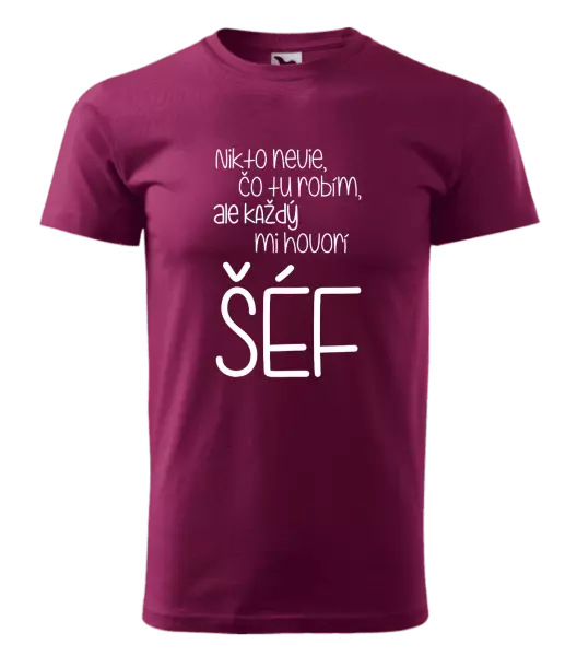 Pánske tričko Nikto nevie, čo tu robím, ale každý mi hovorí