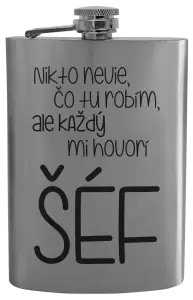 Ploskačka Nikto nevie, čo tu robím, ale každý mi hovorí