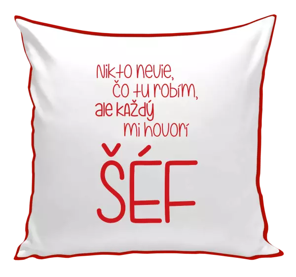 Vankúš Nikto nevie, čo tu robím, ale každý mi hovorí