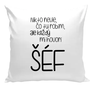 Vankúš Nikto nevie, čo tu robím, ale každý mi hovorí