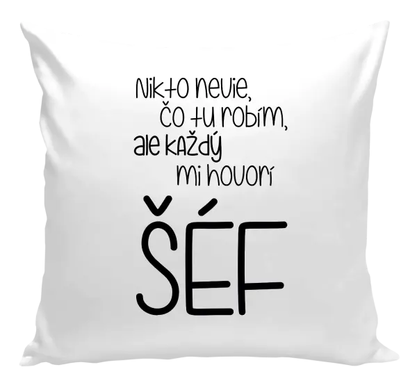 Vankúš Nikto nevie, čo tu robím, ale každý mi hovorí