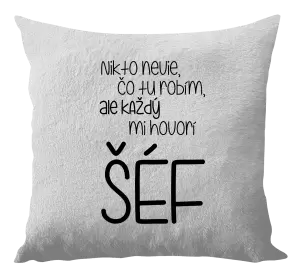 Vankúš Nikto nevie, čo tu robím, ale každý mi hovorí