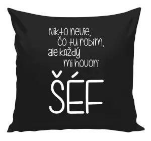 Vankúš Nikto nevie, čo tu robím, ale každý mi hovorí