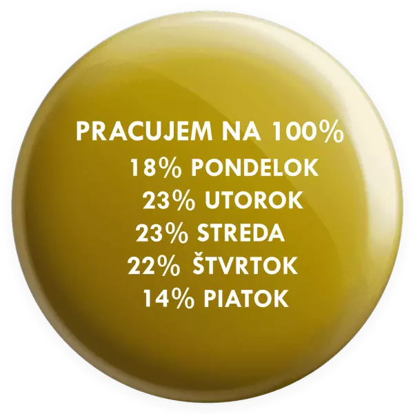 Placka Pracujem na 100%