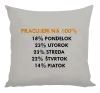 Vankúš Pracujem na 100%