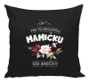 Vankúš Pre tú najlepšiu mamičku
