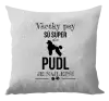 Vankúš Pudl je najlepší