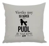 Vankúš Pudl je najlepší