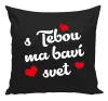 Vankúš S tebou ma baví svet