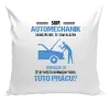Vankúš Samozrejme, že som blázon - automechanik