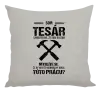 Vankúš Samozrejme, že som blázon - tesár