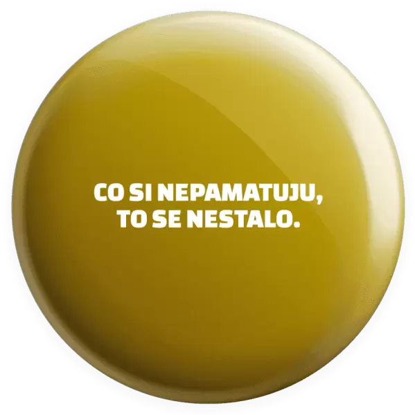 Placka Co si nepamatuju, to se nestalo