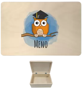 Drevený box s vekom Sovička