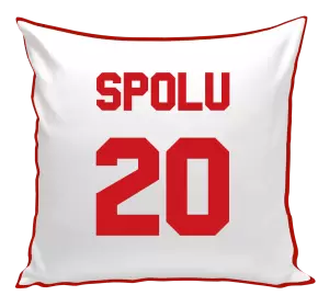 Vankúš Spolu