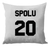 Vankúš Spolu