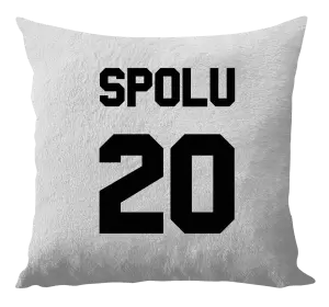 Vankúš Spolu