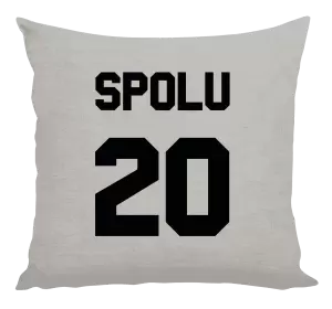 Vankúš Spolu