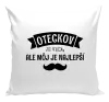 Vankúš Oteckov je veľa, ale môj je najlepší