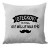 Vankúš Oteckov je veľa, ale môj je najlepší