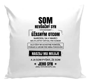 Vankúš Otcov nevďačný syn