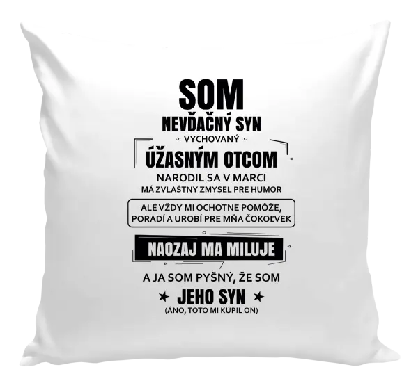 Vankúš Otcov nevďačný syn