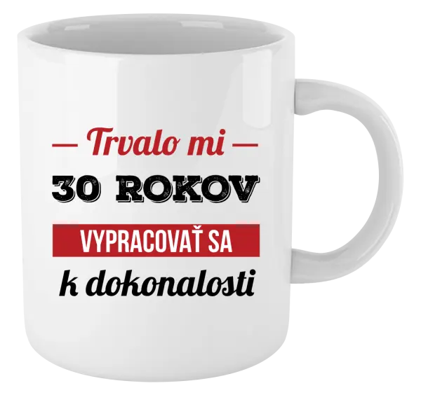 Hrnček Trvalo mi x rokov vypracovať sa k dokonalosti 