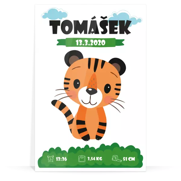 Plexisklo 3 mm Tigrík