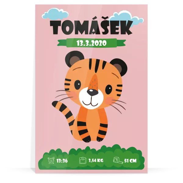 Plexisklo 3 mm Tigrík