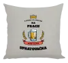 Vankúš Z krčmy sa vraciam na prach - Upratovačka