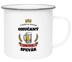 Plecháčik Z krčmy sa vraciam ohučaný - Spevák