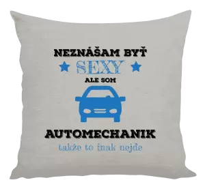 Vankúš Neznášam býť sexy, ale som automechanik