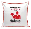 Vankúš Neznášám byť sexy, ale som čašník
