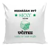 Vankúš Neznášám byť sexy, ale som učiteľ